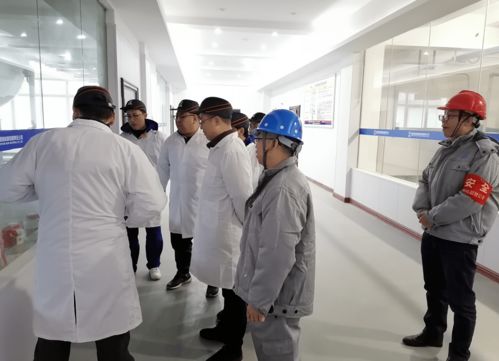 专业咨询赋能项目管理 湘核新材项目管理咨询服务解决方案